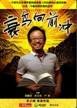 衰鸟向前冲封面图