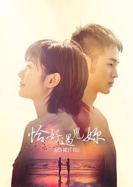 恰好遇见你封面图