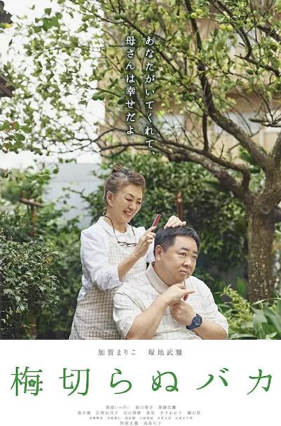 不砍梅树的傻瓜封面图