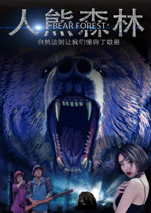 人熊森林封面图
