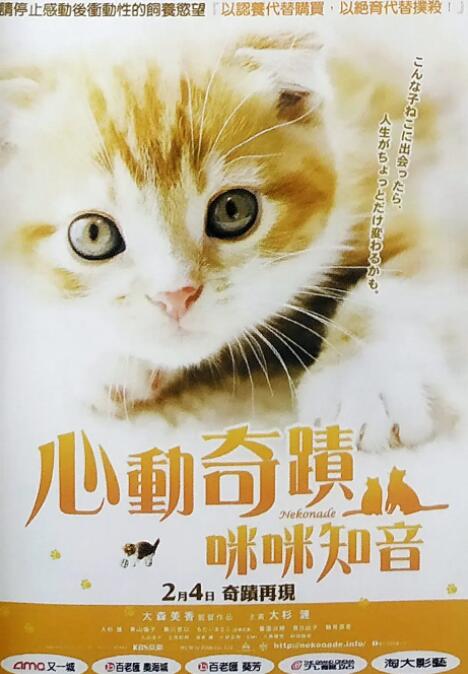 小猫奇缘封面图