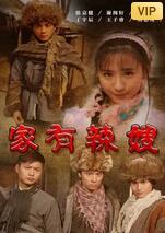 家有辣嫂封面图