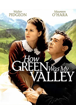 青山翠谷封面图