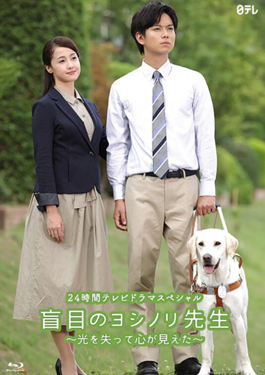 盲眼的淑则老师封面图