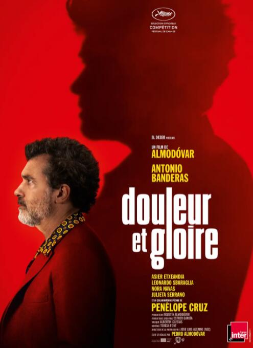 痛苦与荣耀封面图