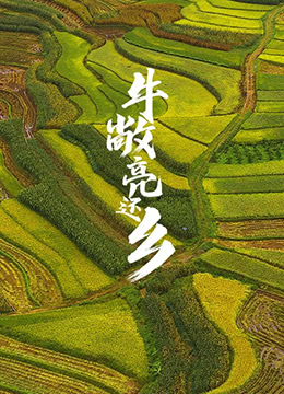 牛敞亮还乡封面图