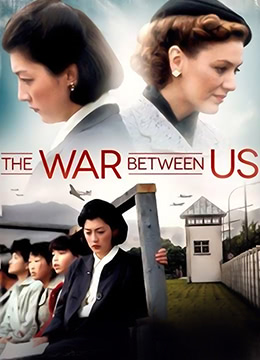 我们之间的战争封面图