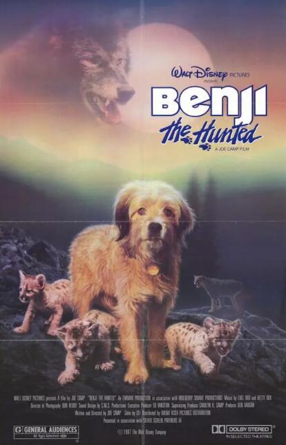 丛林赤子心封面图