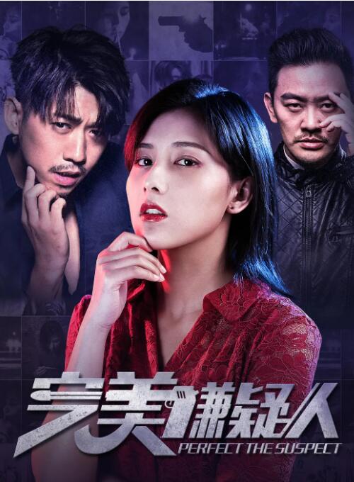 完美嫌疑人封面图