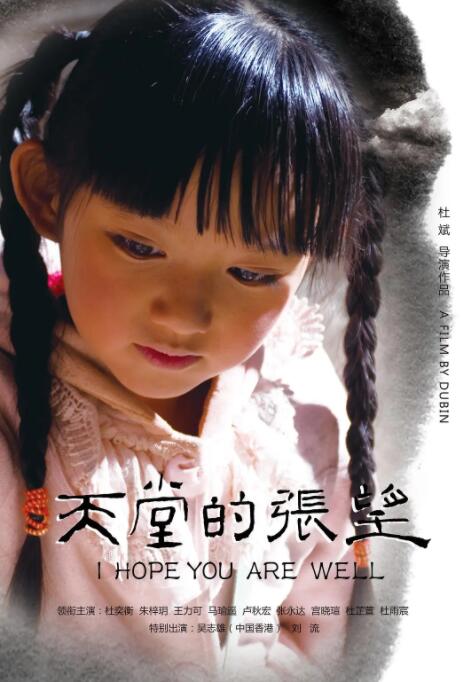 天堂的张望封面图