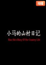 小马的山村日记封面图
