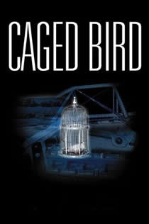 笼中欲鸟封面图