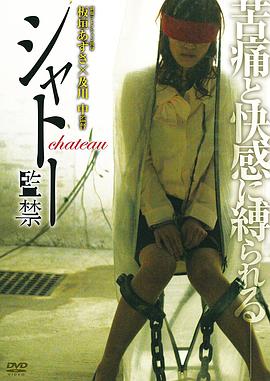 城堡监禁封面图