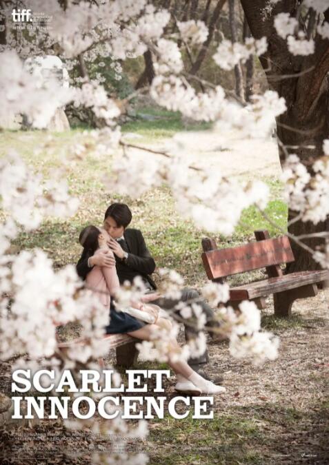 布拉芙夫人封面图