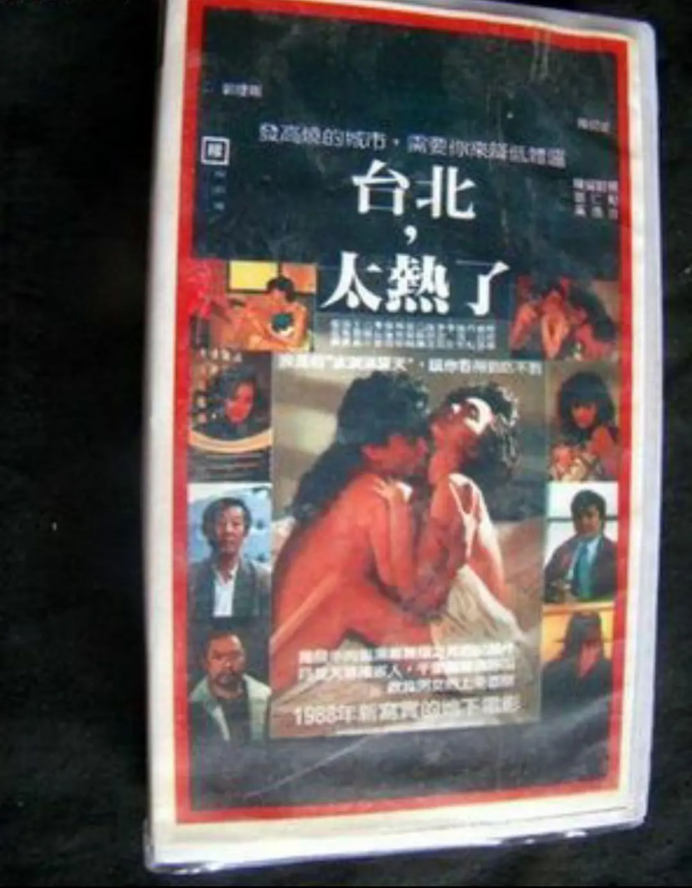 放荡甜姐儿封面图