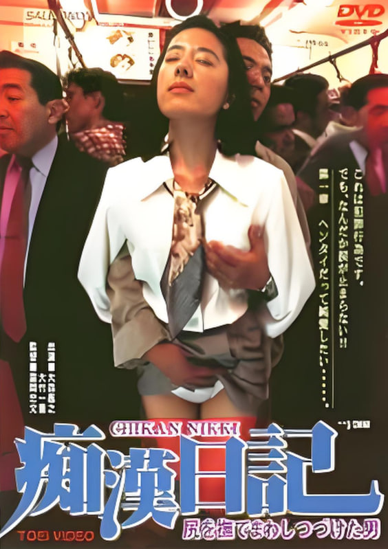 痴汉日记封面图