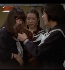 女高中生性感试验封面图