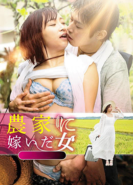 农情蜜意封面图