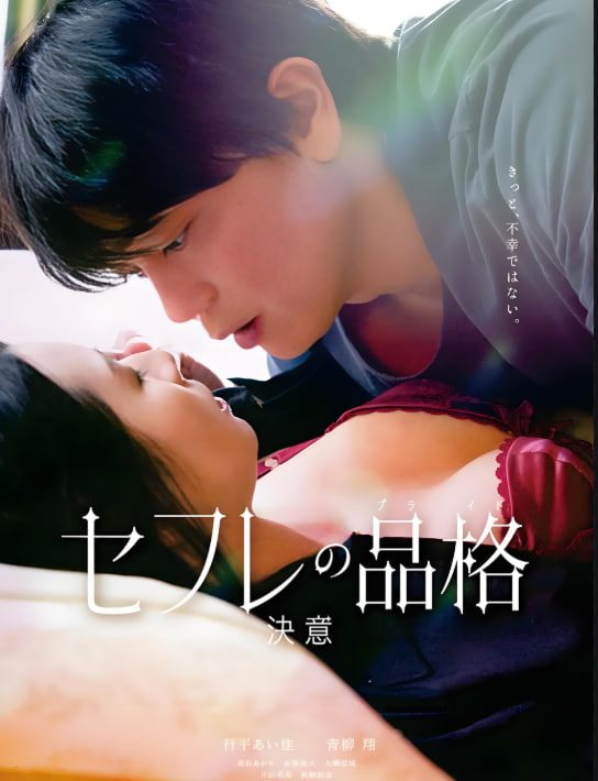 性伴侣的品格 决心封面图