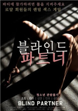 致盲伴侣封面图