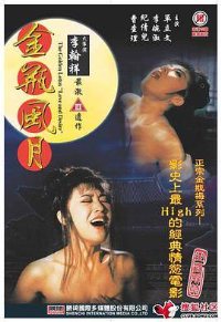 金瓶风月封面图