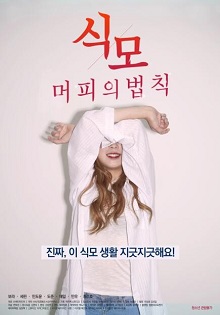 食母：墨菲定律封面图