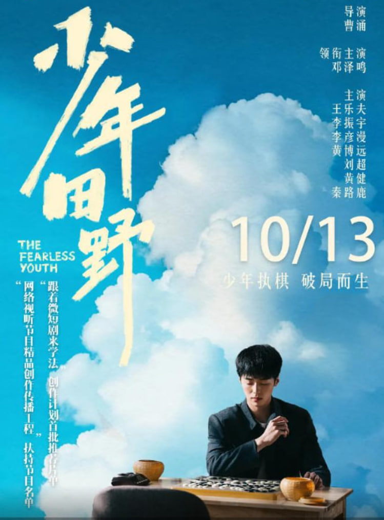 少年田野封面图