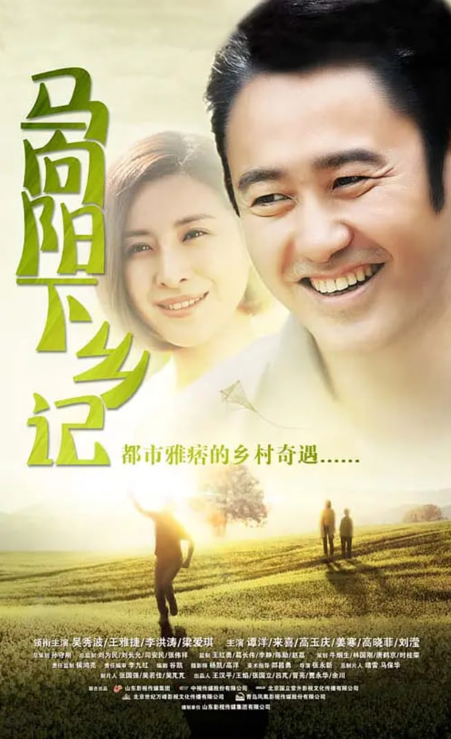 马向阳下乡记封面图