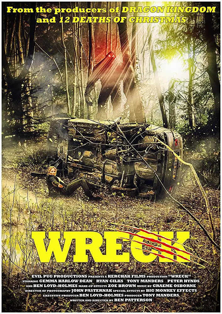 车祸惊魂 2020封面图