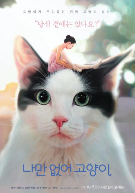 只有我没有猫封面图