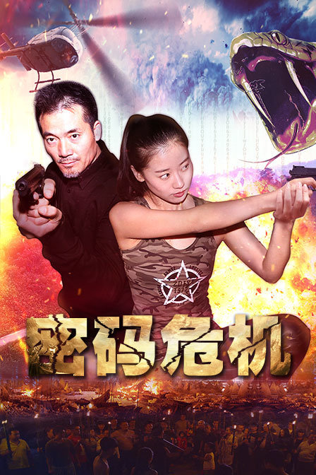 密码危机封面图