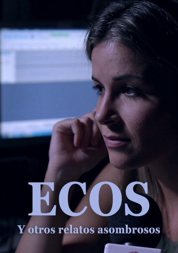 回声和其他非凡的故事封面图