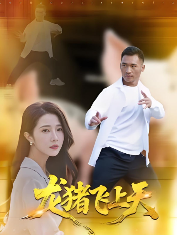 龙猪飞上天封面图