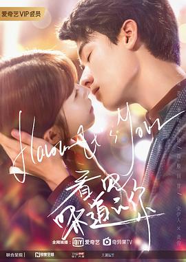 看见味道的你封面图