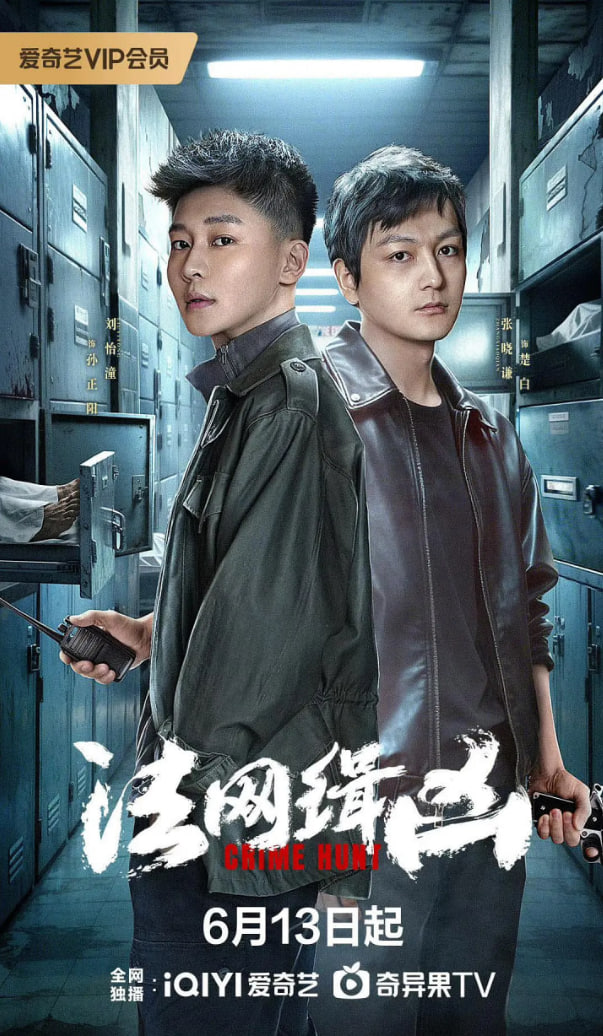 法网缉凶封面图