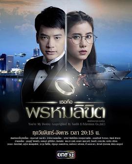 命中注定我爱你封面图