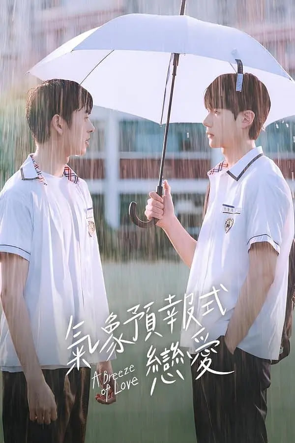 恋爱预感封面图