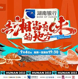 去“湘”当有味的地方封面图