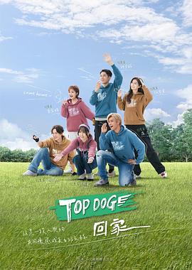TOP DOG封面图