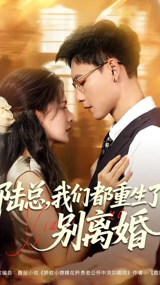 陆总我们都重生了别离婚封面图