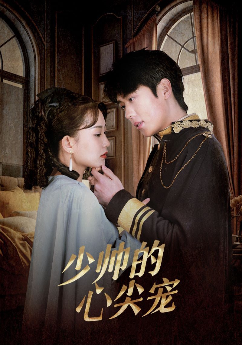 少帅的心尖宠封面图