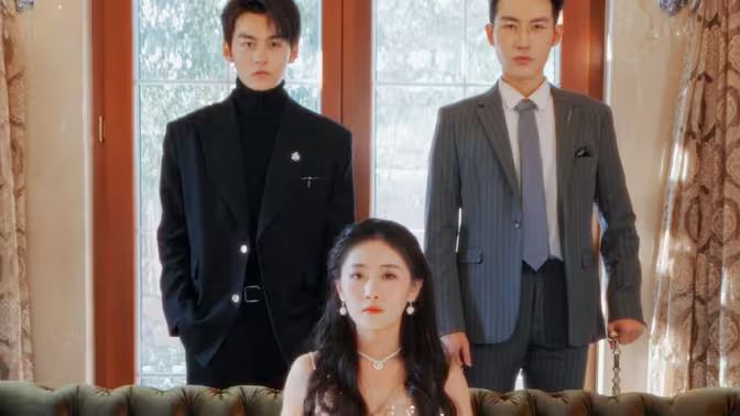 不要招惹舒小姐封面图