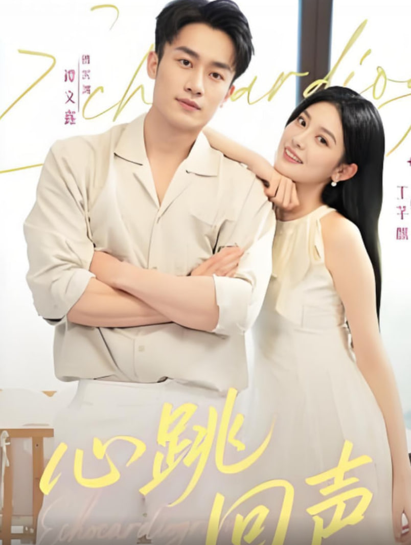 心跳回声封面图