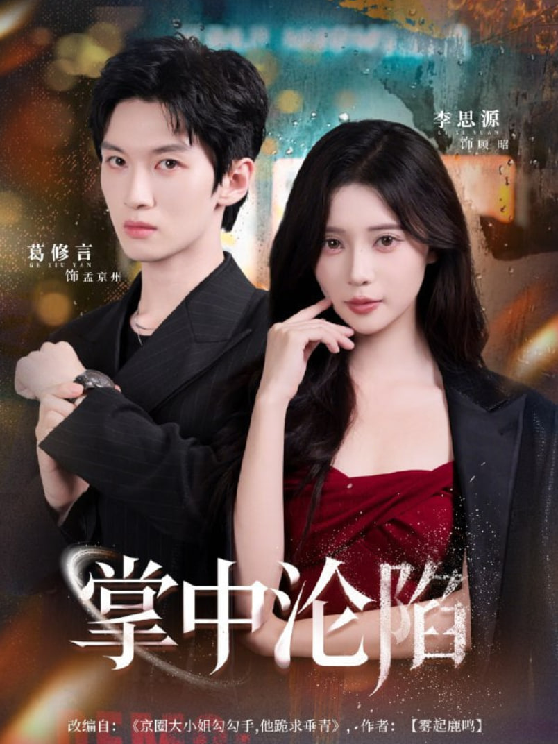 掌中沦陷封面图