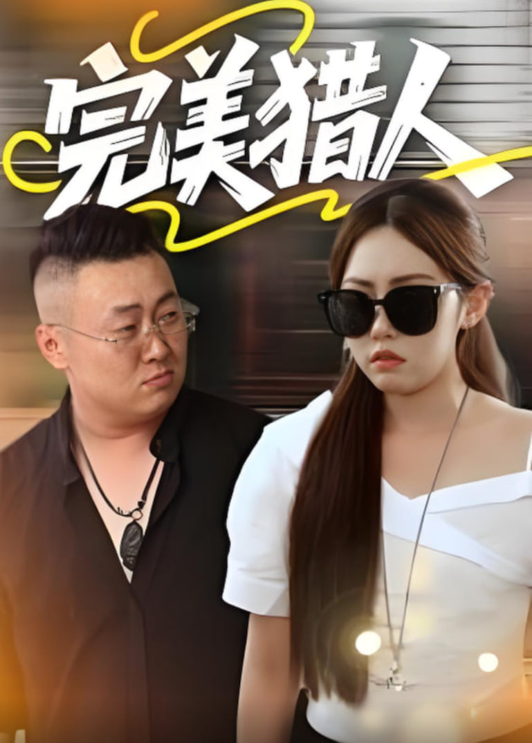 完美猎人封面图