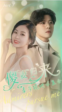 傻妻归来秦爷跪地求复合封面图