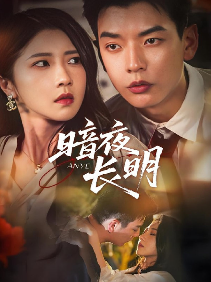 暗夜长明封面图