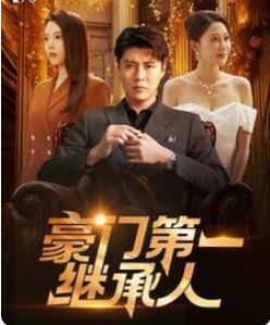 豪门第一继承人封面图