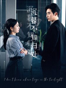 沉暮不知归处封面图