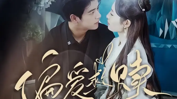 偏爱救赎封面图